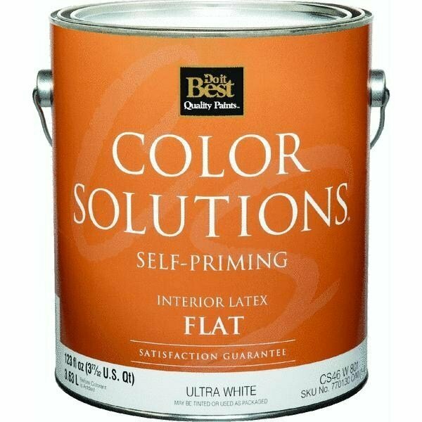 Worldwide Sourcing Color Solutions Self-Priming Latex Flat Interior Wall Paint CS46W0801-16
